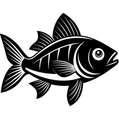 fish vector art on white