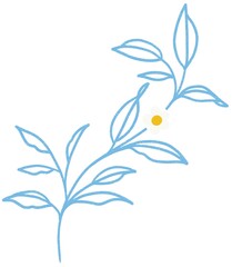 Blue line and daisy flower