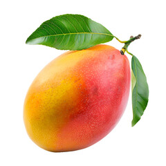 Mango isolated on transparent background