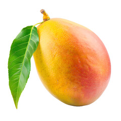 Mango isolated on transparent background