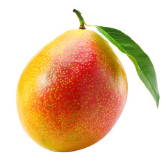 Mango isolated on transparent background