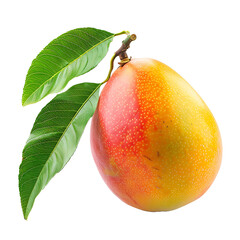 Mango isolated on transparent background