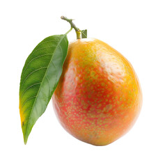 Mango isolated on transparent background