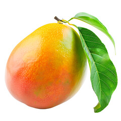Mango isolated on transparent background