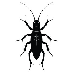 earwig silhouette isolated on white 