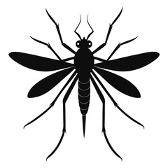 mosquito silhouette isolated on white 