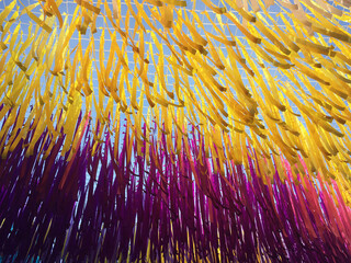 Street decoration with yellow and purple ribbons hanging above the street