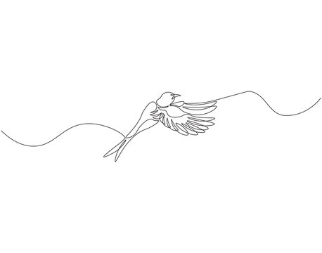 recommend clip art: Continuous one line drawing of flying swallow bird. One line drawing illustration of swallow bird in flight. World migratory bird day concept line art. Editable outline
