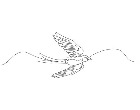recommend clip art: Continuous one line drawing of flying swallow bird. One line drawing illustration of swallow bird in flight. World migratory bird day concept line art. Editable outline