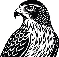 Hawk vector silhouette illustration
