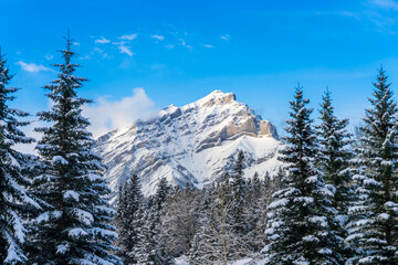 Close up snow-covered Cascade Mountain with snowy forest over blue sky and white clouds in winter sunny day. Banff National Park beautiful landscape. Canadian Rockies, Alberta, Canada.