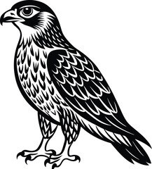 Hawk vector silhouette  art illustration
