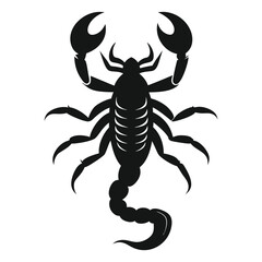 scorpion isolated on white background