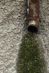 downspout and mold