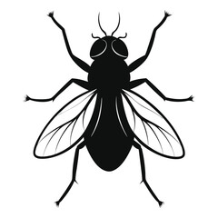 illustration of a fly bug