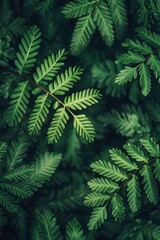 Vibrant green fern leaves background texture, lush foliage pattern