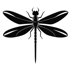 dragonfly isolated on white