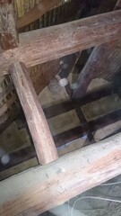 4)hornets nest in the attic(Photo taken at 19:26 on November 5, 2014) Japanese yellow hornet nest(11月迄キイロスズメバチの活動中の巣が残る事は珍しい)