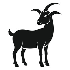 goat isolated on white background