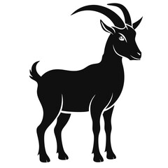 goat isolated on white background