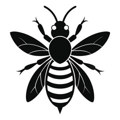 black bee silhouette on white