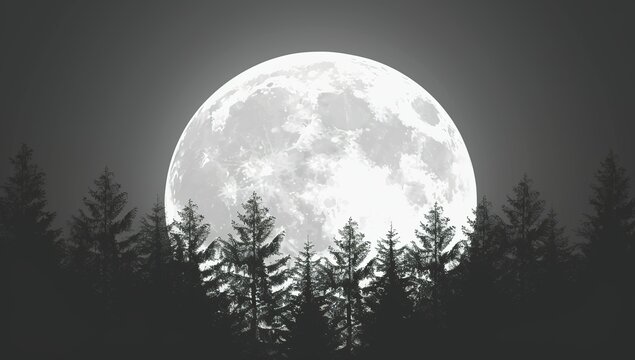 A large full moon with silhouettes of trees in the foreground, vector...