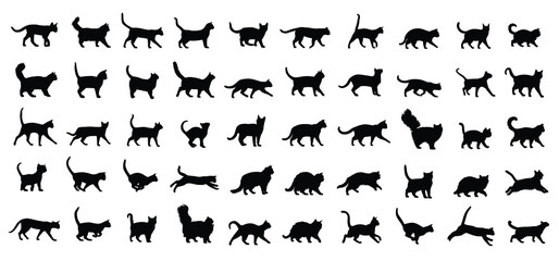 Cat Breeds silhouette set