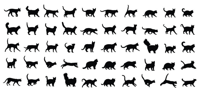 Cat Breeds silhouette set