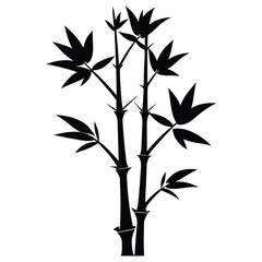 Obraz premium black bamboo isolated on white background