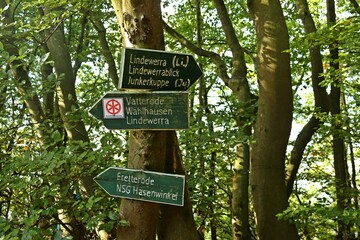 Wegweiser am Wanderweg Hanstein-Teufelskanzel im Eichsfeld