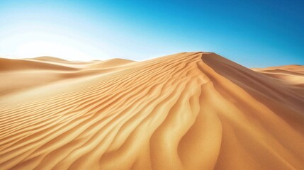 A vast landscape of golden sand dunes with gentle curves and a bright blue sky.