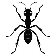 ant silhouette icon illustration 
