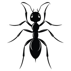 black cartoon ant isolated on white