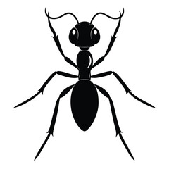 ant silhouette icon illustration 