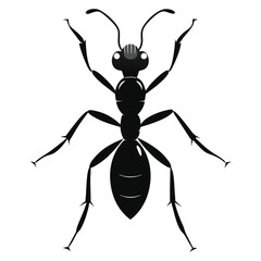 black cartoon ant isolated on white