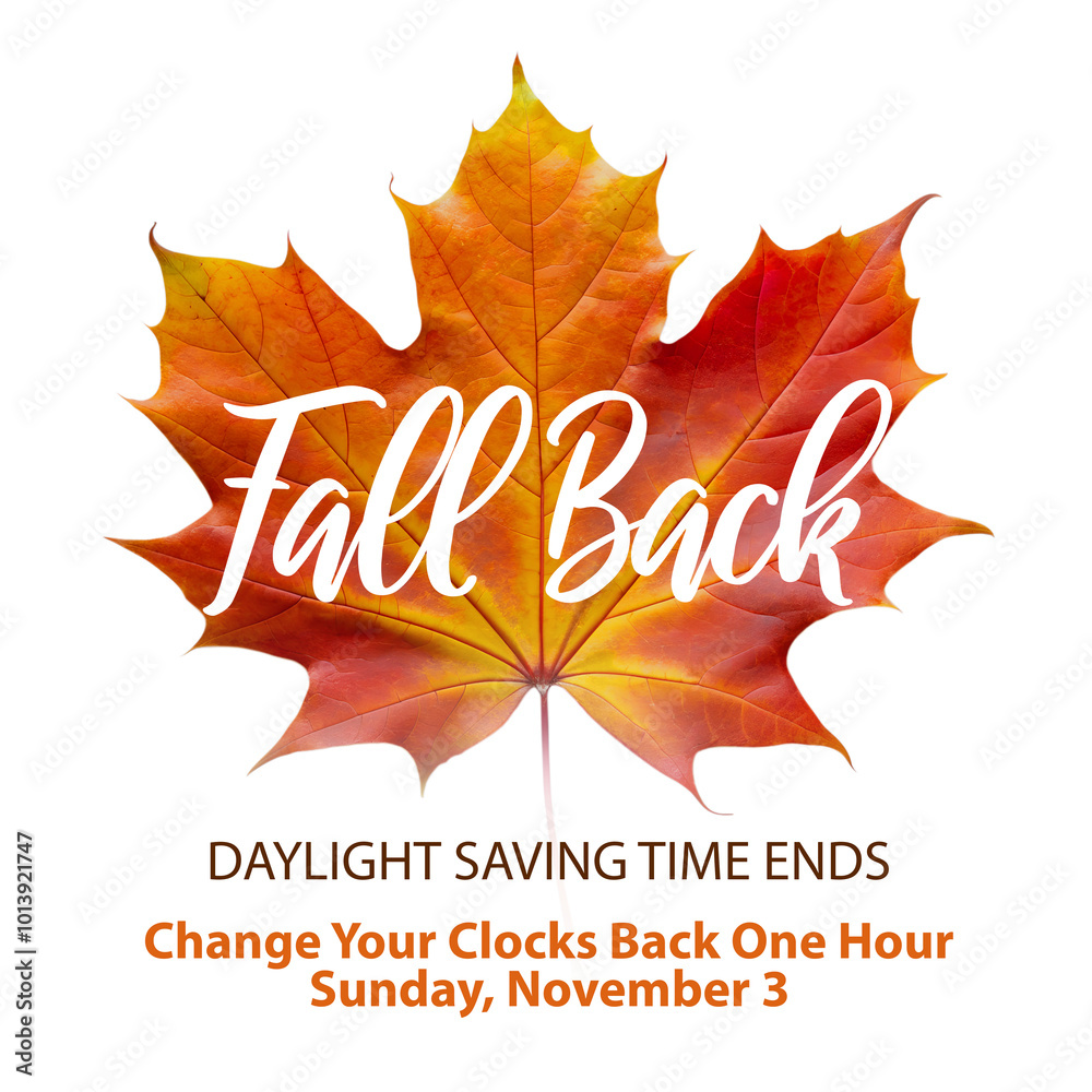 Wall mural daylight saving time ends, fall back time in november 3, 2024 web banner reminder with text - set cl