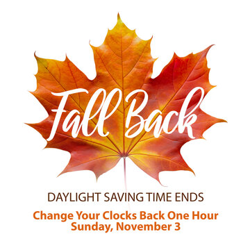 Daylight Saving Time Ends, Fall back Time in November 3, 2024 Web Banner reminder with text - Set Clocks Back One Hour. DST info poster concept with red autumn maple leaf