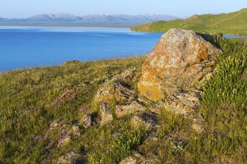 Song Kol Lake, Naryn province, Kyrgyzstan, Asia