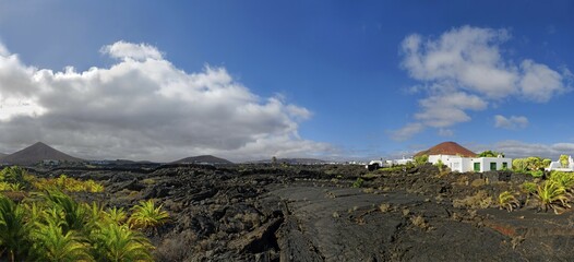 Cooled lava, palms, Tahiche, Lanzarote, Canary Islands, Spain, Europe