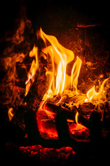 płomienie ognia w ognisku lub w kominku na ciemnym tle © Henryk Niestrój