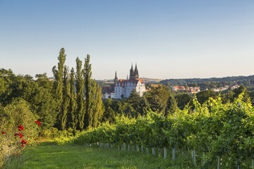 Naklejka premium Albrechtsburg Castle and Cathedral of the Cat Steps in Proschwitz, Meissen, Saxony, Germany, Europe