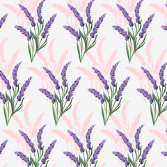 Pattern with blooming lavender.Vector seamless pattern with lavender bouquets on a light background with shadow.