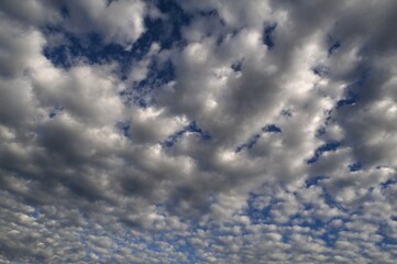 Large fluffy clouds (Altocumulus), Bavaria, Germany, Europe