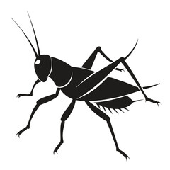 grasshopper isolated on white background