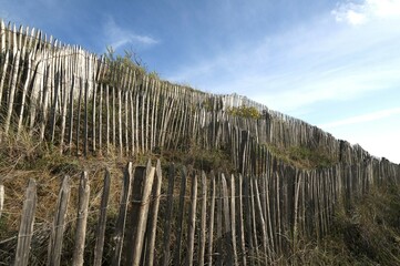 Fototapeta premium Fences to protect dunes by the Atlantic coast, La Tranche-sur-Mer, France, Europe