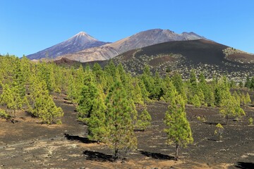 Mount Tiede, volcano, Pico Viejo, Teide National Park, Canary Islands, Tenerife, Spain, Europe