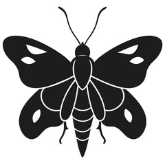 butterfly silhouette on white background