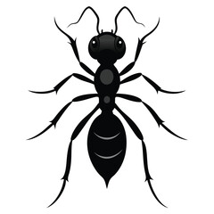 ant silhouette icon illustration 