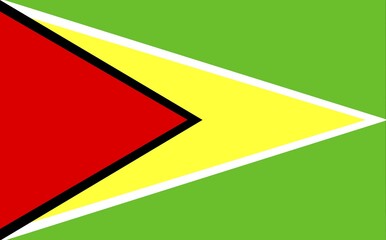 Flag of Guyana