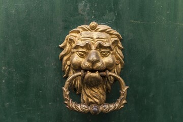 Door knocker, golden lion's head on a green door, Bamberg, Upper Franconia, Bavaria, Germany, Europe